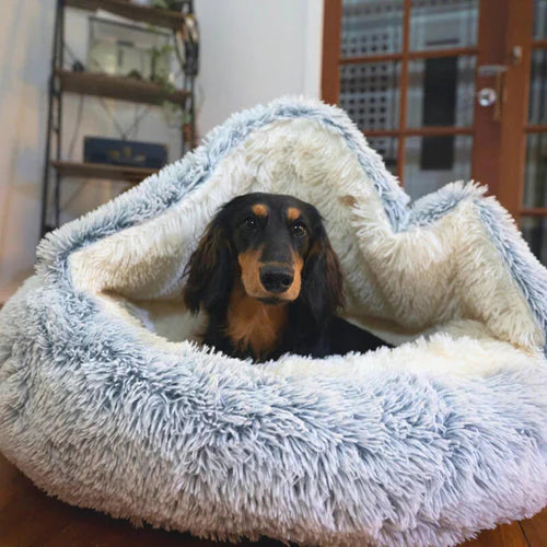 CozyCave - 'Mijn hond is er dol op'