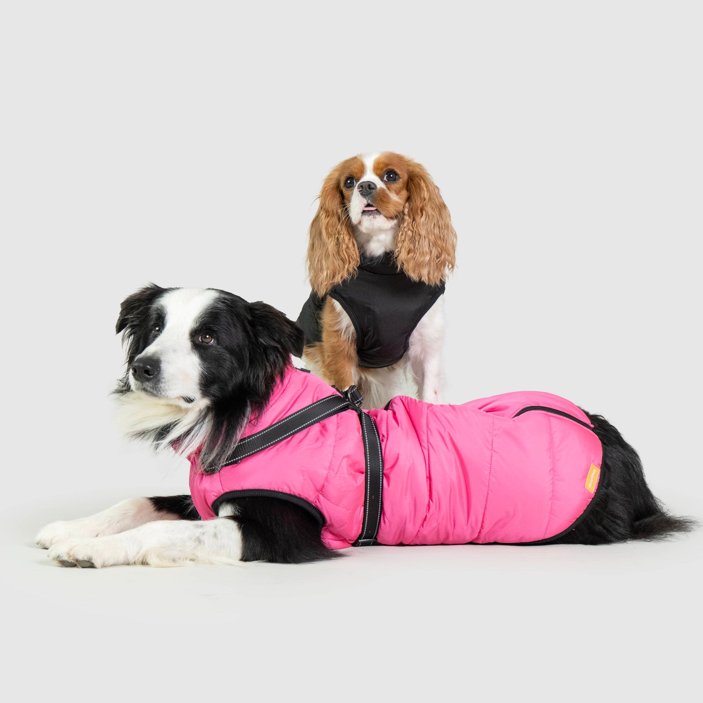 Waterdichte winterjas voor honden