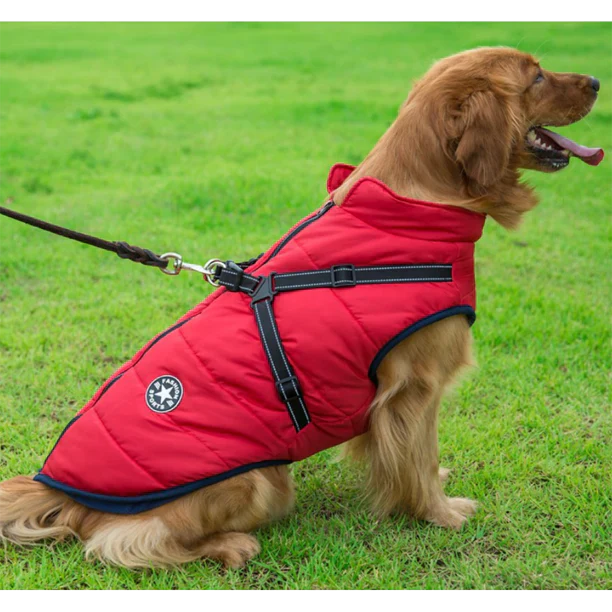 Waterdichte winterjas voor honden