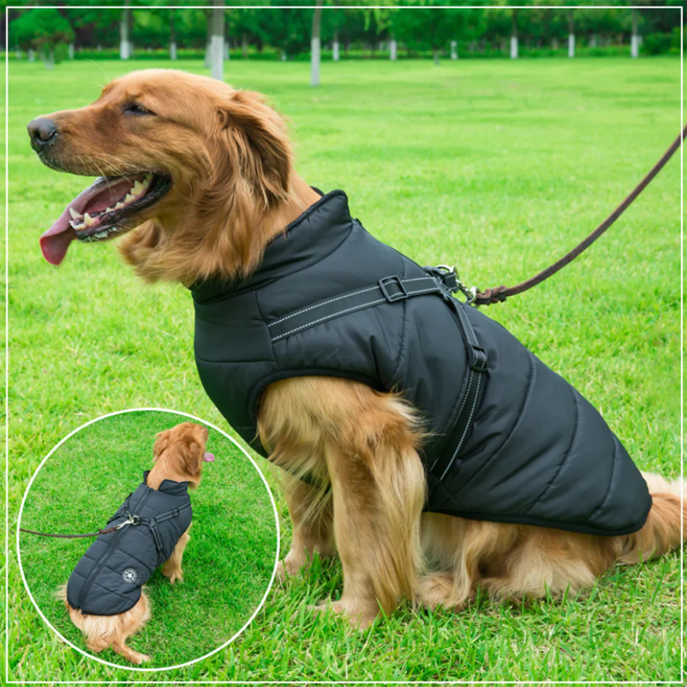 Waterdichte winterjas voor honden