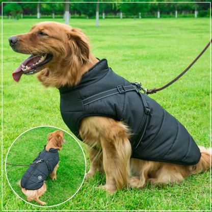 Waterdichte winterjas voor honden